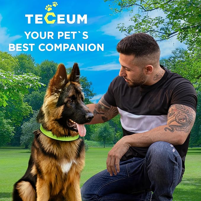 TECEUM Reflective Pet Collar – Acid Green – XS – Extra Soft Padding – Basic Nylon Dog Collar – Quick Release Buckle – Fits Small, Medium and Large Dogs, Puppies, Cats – ESA & Service Dog Options