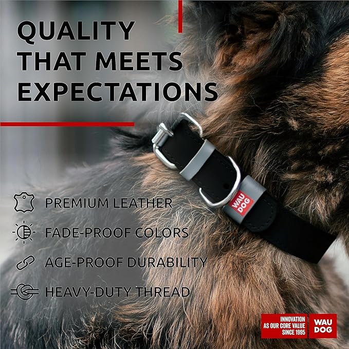 WAUDOG Long Lasting Leather Dog Collar for Large Dogs, Medium & Small Dogs - Adjustable Classic Puppy Collars for Large Breed Dogs - Boy & Girl Dog Collars with Durable Buckle, D-Ring & QR Dog Tag