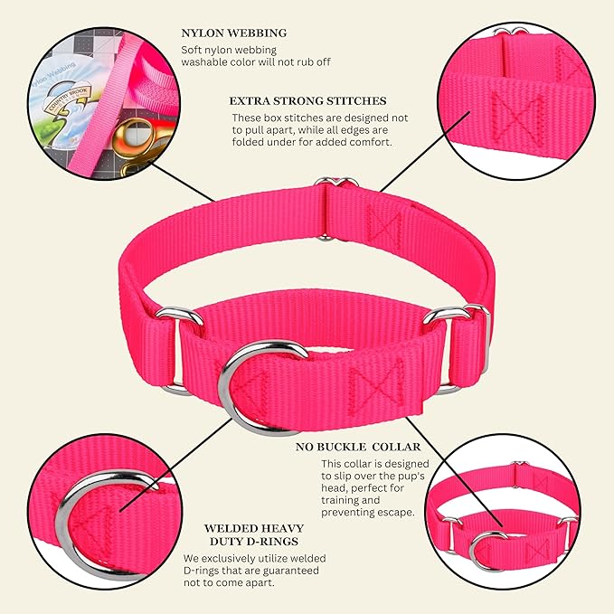 Country Brook Petz Martingale Dog Collar - Heavy-Duty Training Collar with No Buckle - Service Dog Collar for All Pups - Vibrant, Colorful Collection (Hot Pink, 1 Inch, Large)