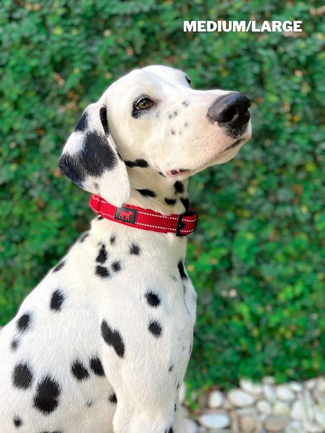 Heavy Duty Dog Collar with Handle | Ballistic Nylon Heavy Duty Collar | Padded Reflective Dog Collar with Adjustable Stainless Steel Hardware | Convenient Sizing for All Breeds