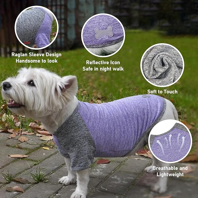 KYEESE 2 Pack Dog Shirts Quick Dry Breathable Raglan Sleeve Soft Stretchy Dog T-Shirts with Reflective Label Pet Clothes for Small Dogs Sun Protection, Purple+Grey, L