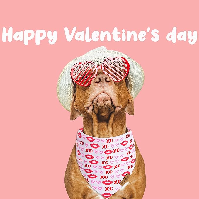 Valentines Dog Bandana - 2 Pack Triangle Dog Bandanas | Reversible Love and Heart Pet Scarf | Premium Durable Fabric | Boys & Girls | Holiday Bandana for Small and Medium Dogs (Small)