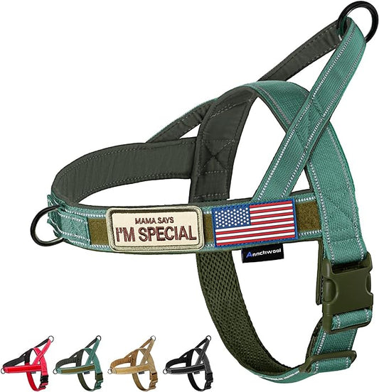 Annchwool No Pull Dog Harness with Soft Padded Handle,Reflective Strip Escape Proof and Quick Fit to Adjust Dog Harness,Easy for Training Walking for Small & Medium and Large Dogs(Green,XS,1 In Width)