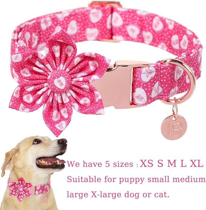 Valentine Dog Collar with Flower, Heart Flower Collar for Puppy Girl Boy Dog or Cat, Comfortable Dog Collar Flower with Durable Metal Buckle, Cute Pet Collar, L