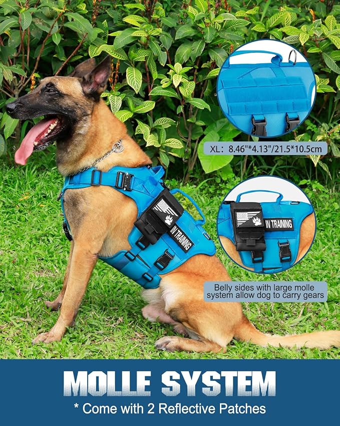 Tactical Dog Harness - PETNANNY Dog Harness Service Dog Vest for Large Breed Dog, Hook and Loop Panel for Service Dog Patchs, Work Dog MOLLE Vest with Handle for Walking Hiking Training(Blue,XL)