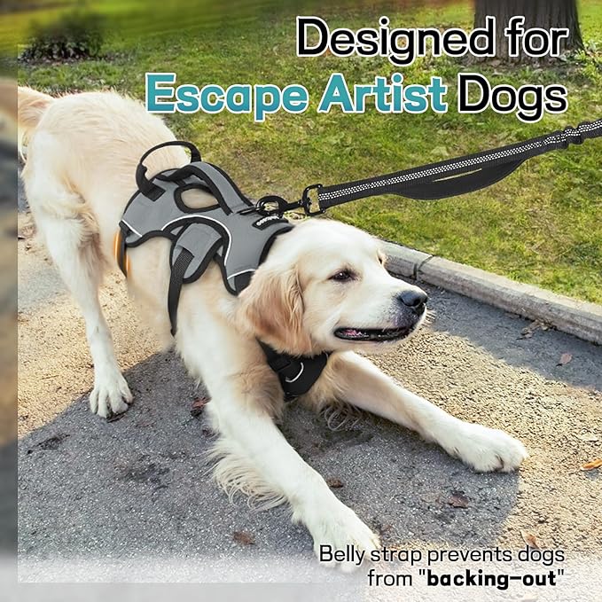 rabbitgoo Escape Proof Dog Harness, Soft Padded Full Body Pet Harness, Reflective Adjustable No Pull Vest with Lift Handle and Leash Clip for Large Dogs Walking Hiking Training, L, Grey