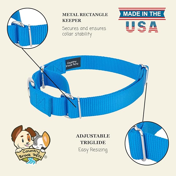 Country Brook Petz Martingale Dog Collar - Heavy-Duty Training Collar with No Buckle - Service Dog Collar for All Pups - Vibrant, Colorful Collection (Ice Blue, 1 Inch, Medium)
