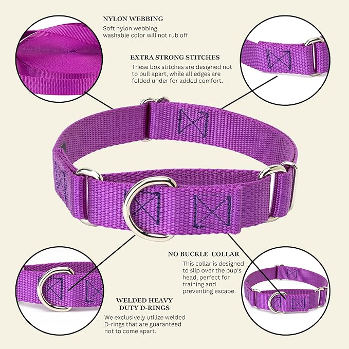 Country Brook Petz Martingale Dog Collar - Heavy-Duty Training Collar with No Buckle - Service Dog Collar for All Pups - Vibrant, Colorful Collection (Bright Purple, 3/4 Inch, Small)