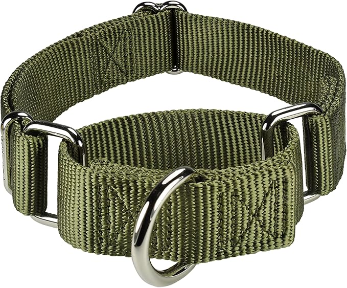 Mikivery Martingale Dog Collar Nylon Adjustable and Safety Training Colourful Comfortable Metal Buckle Pet Collars for Small Medium and Large Dogs(Military Green,M)