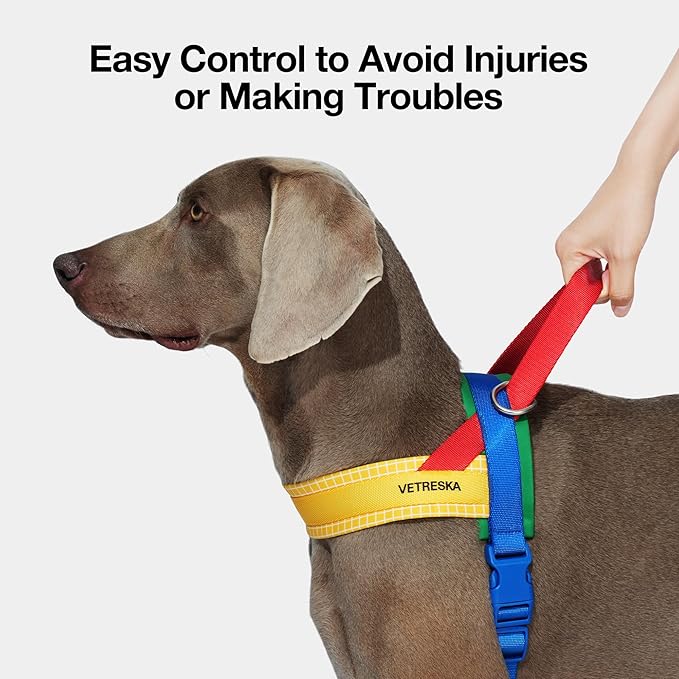 VETRESKA MoMA Dog Harness and Leash Set, Easy Walk Dog Harness for Small Medium Dogs, No Pull Puppy Harness for Walking and Training, Adjustable, Take Control & Anti-Twist Pet Lead Combo(Yellow, XS)