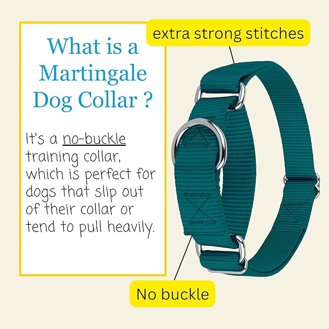 Country Brook Petz Martingale Dog Collar - Heavy-Duty Training Collar with No Buckle - Service Dog Collar for All Pups - Vibrant, Colorful Collection (Teal, 1 Inch, Medium)