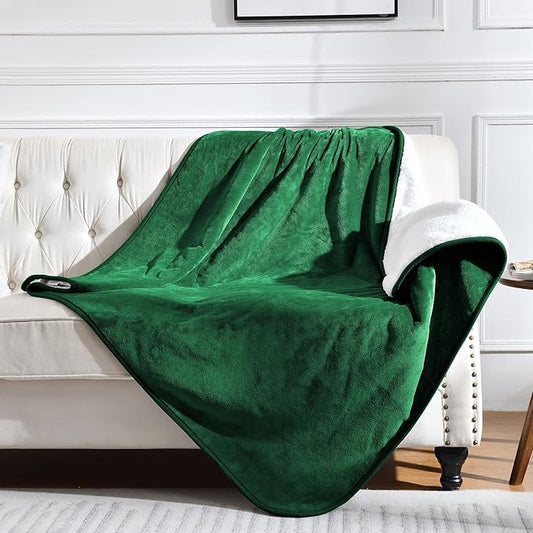 Waterproof Blanket for Bed Couch Sofa, Soft Liquid Pee Proof Pet Blanket for Dog Puppy Cat, Reversible Sherpa Fleece Furniture Protector (Green, 60x80 inches)