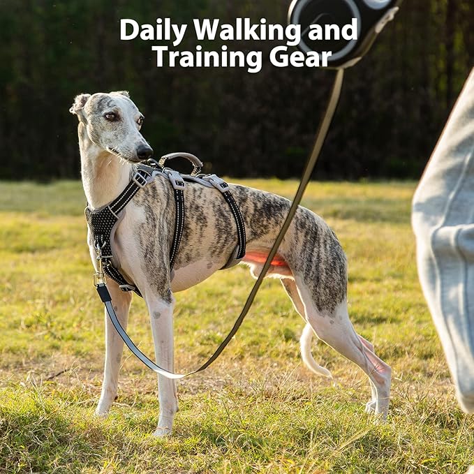 Escape Proof Dog Harness, No Pull Reflective Harness with Lift Handle, Adjustable Pet Vest with Front and Back Leash Clips for Small Medium Large Dogs Walking Hiking Training (Black,XL)