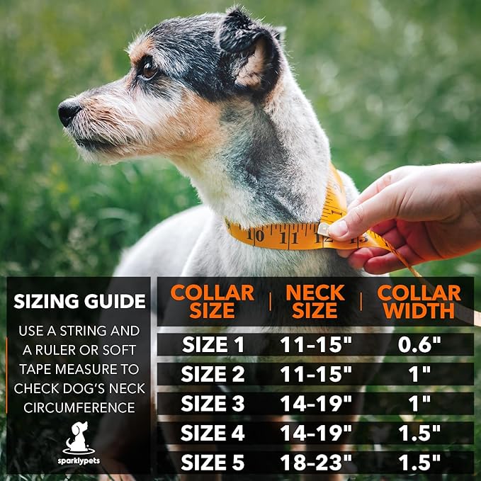 SparklyPets Extra Small Dog Collar with Quick Release Chrome Buckle & AirTag Holder – Premium Small Breeds Collars with Reflective Stripes & Soft Lining for Female & Boy Dogs
