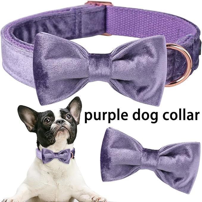 ARING PET Bowtie Dog Collar-Velvet Dog Collars with Removable Bowtie, Cute &Comfortable Purple Dog Collar,Small.