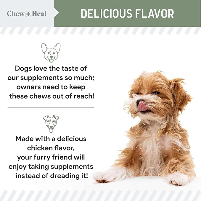 All in 1 Dog Vitamins and Supplements, 60 Soft Chew Multivitamins with Glucosamine, Probiotics, Omega Fish Oil -for Skin, Coat, Hip, Joint & Gut Health -Senior, Puppy, Large & Small Dogs