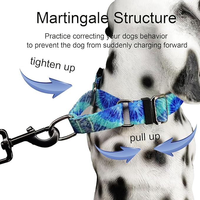 Martingale Collar with Buckle Blue Tie Dye Training Collar Adjustable Nylon Boy Dog Collars (Blue Teal, Medium)