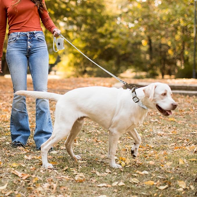 Wisedog Dog Collar and Leash Set Combo: Adjustable Pet Collars with Dog Leashes for Small Medium Large Dogs, Includes 1 Bonus of Poop Bag Holder (S(Collar:10"-14";Leash:4 ft), Grey)