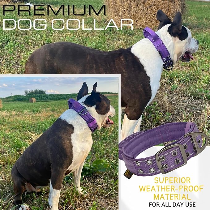 ADITYNA Heavy Duty Dog Collar for Medium Dogs - Reflective Purple Collar with Handle for Training, and Walking - Wide, Thick, Tactical, Soft Neoprene Padded