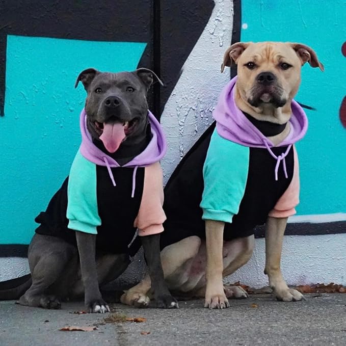 Spark Paws Dog Hoodie - Premium Quality, Buttery Soft, Superior Comfort and Fit, Calming Fleece Interior, Suitable for All Breeds - Cyber Punk - S