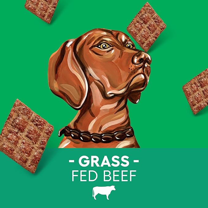 Newman's Own Jerky Treats for Dogs - Original Beef Recipe | Made with Grass Fed Beef | Grain Free | High in Protein | 5 oz Bag (Pack of 6)