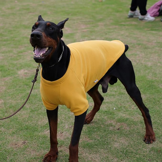 Lovelonglong Sweatshirt Cold Weather Pullover Autumn and Winter T-Shirts for Small Medium Large Size Dogs Ginger S