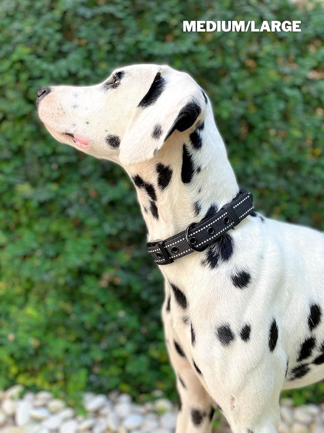 Tuff Pupper Heavy Duty Dog Collar with Handle | Ballistic Nylon Heavy Duty Collar | Padded Reflective Dog Collar with Adjustable Stainless Steel Hardware | Convenient Sizing for All Breeds