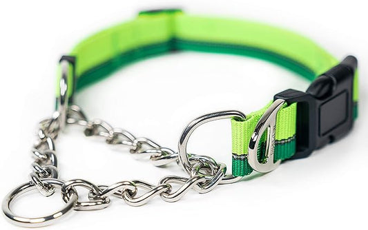 Mighty Paw Martingale Dog Collar - Gentle Correction with No More Pulling - Strong 100% Stainless Steel Chain - Weatherproof Won't Rust - Built to Last Premium Quality Nylon - Durable Plastic Buckle
