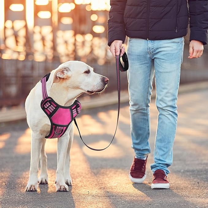 BUMBIN Dog Harness for Large Dogs, No Pull Adjustable No Choke Pet Vest with Dog Leash Fit Smart Reflective Pet Walking Harness for Training Easy Control Soft Handle Rose Red XL