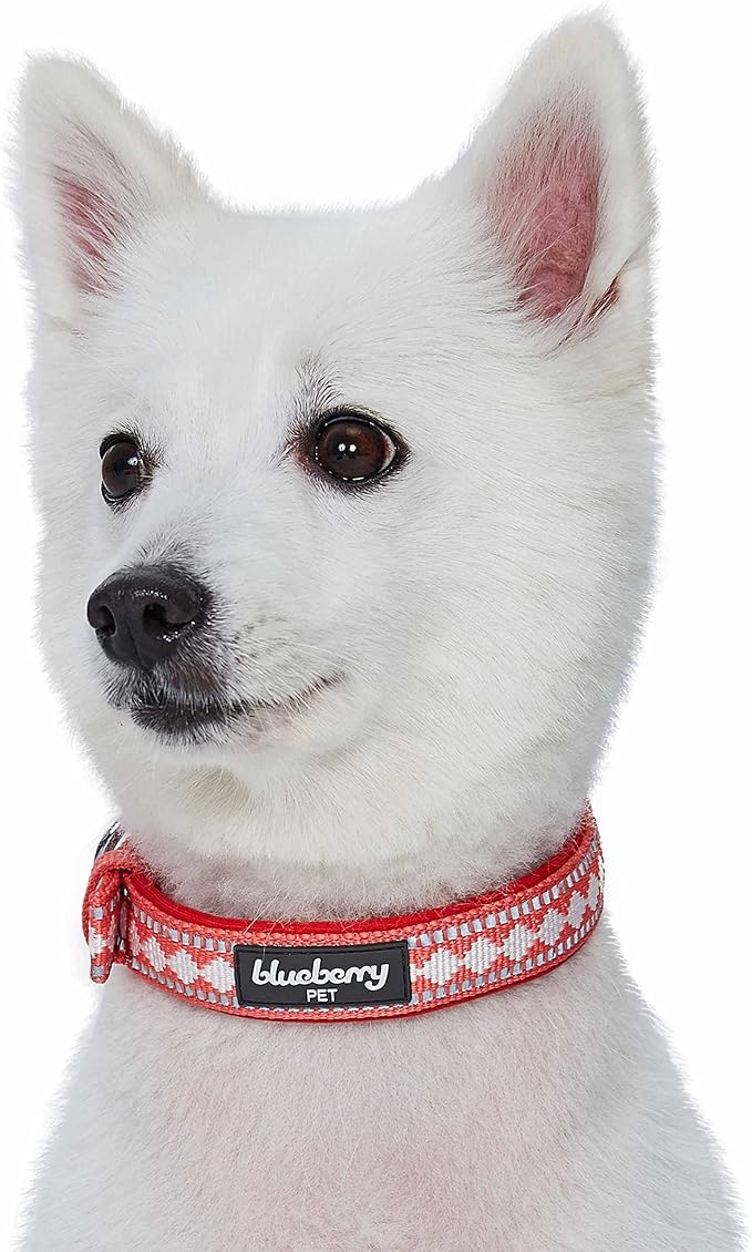 Blueberry Pet Soft & Safe 3M Reflective Jacquard Neoprene Padded Adjustable Dog Collar with Metal Buckle - Coral, Neck 9-12.5", for Small Breed