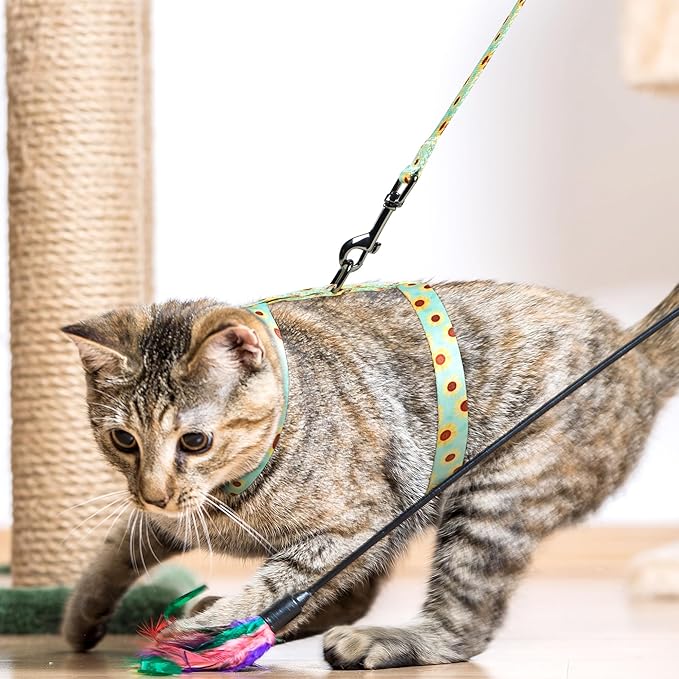 Leekalos Cat Harness and Leash for Walking,Cats Escape Proof - Adjustable Kitten Harness for Large Small Cats, Use Safe & Easy,Fit for Puppy,Rabbit