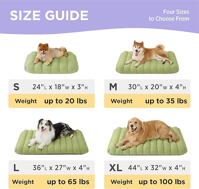Lesure Cute Orthopedic Dog Bed for Small Dogs, Waterproof Chic Flat Pet Beds with Removable Washable Cover, Fuzzy Thick Egg Crate Foam Pet Mat for Indoor Use (24" x 18", Green)