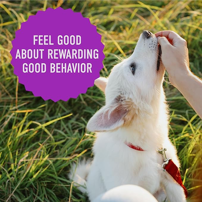 Cloud Star Tricky Trainers Soft & Chewy Dog Training Treats 5 oz. Pouch, Liver Flavor, Grain-Free Low Calorie Behavior Aid with 310 treats