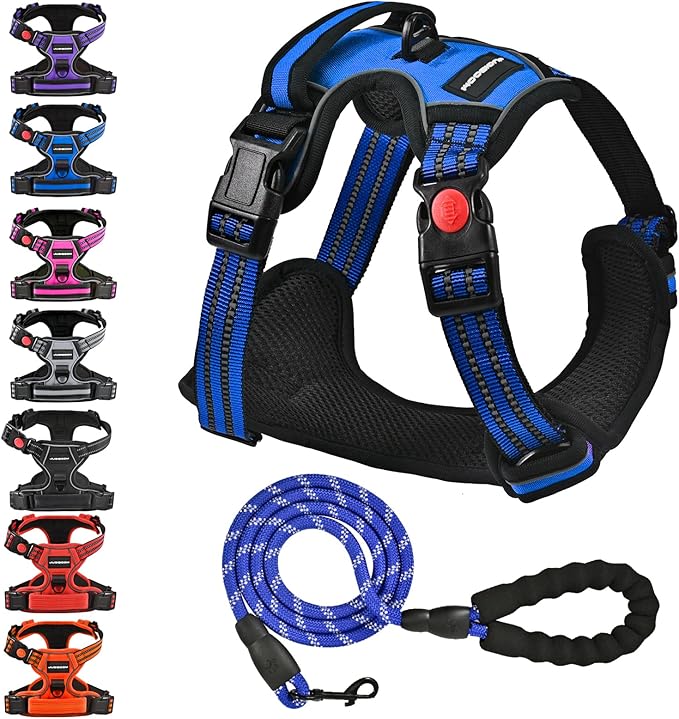 No Pull Dog Harness with A Free Heavy Duty 5ft Dog Leash, Adjustable Soft Padded Dog Vest, Reflective No-Choke Pet Oxford Vest with Easy Control Handle for Small and Large Dogs (Blue, Large)