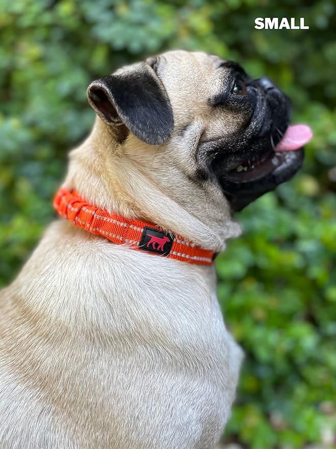 Tuff Pupper Heavy Duty Dog Collar with Handle | Ballistic Nylon Heavy Duty Collar | Padded Reflective Dog Collar with Adjustable Stainless Steel Hardware | Convenient Sizing for All Breeds