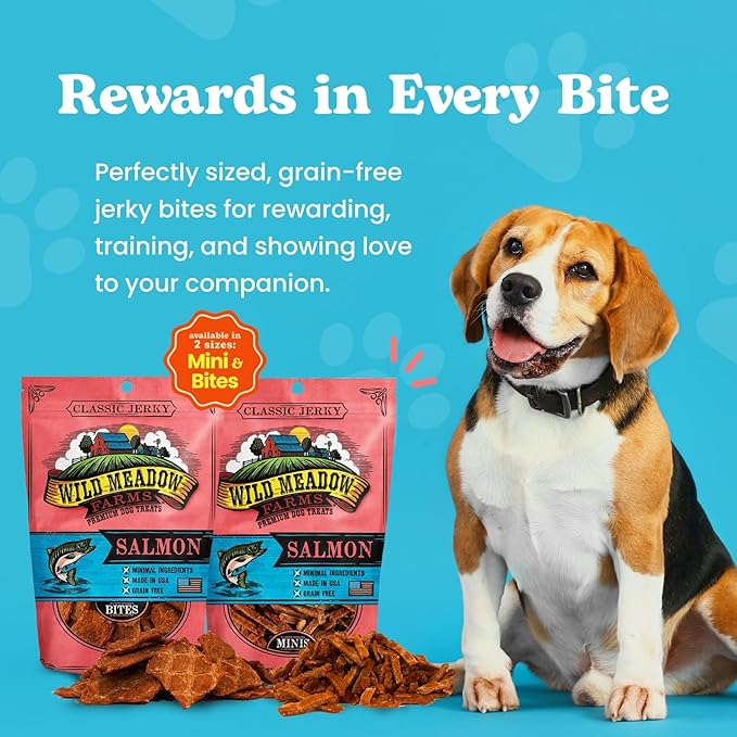 Wild Meadow Farms - Classic Salmon Bites, Soft Jerky Treats for Dogs, Grain-Free & All-Natural, Ideal for Training, Portioning, and High-Value Rewards for All Breeds & Ages - 3.5 Ounce Pouch