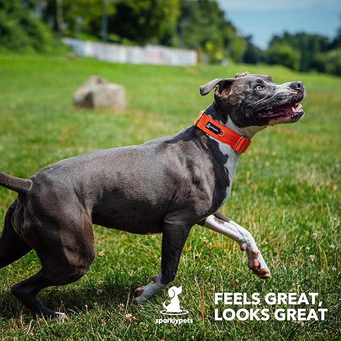 SparklyPets Heavy Duty Wide Dog Collar with Quick Release Chrome Buckle – Thick Tactical Dog Collar with Reflective Stripes & Soft Lining – for Large & Medium Breeds