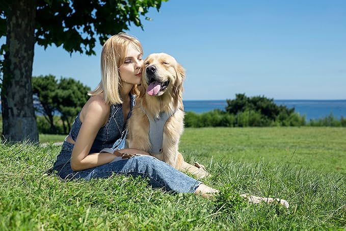 Dog Harness, No Pull Dogs Harness and Multi-Function Leash Set for Medium Dogs Easy Walk Everyday Adjustable Soft Dog Vest Harness Fashionable Dog Accessories Grey Relaxed Medium-Button-Grey Blue