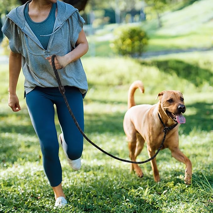TwoEar Dog Slip Rope Leash - 1/2" x 6FT Heavy Duty Training Leash with Reflective Threads for Small to Large Dogs (Black)