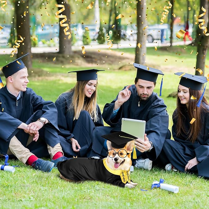 5 Pcs Dog Graduation Costume Set Include 2025 Pet Graduation Gown with Stole Puppy Grad Cap Lensless Glasses DIY Letter Stickers for Dogs Cats Holiday Costume Accessory(Black Yellow,M)