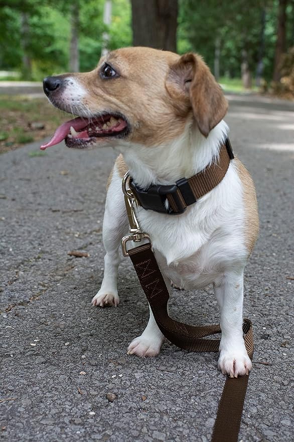 Country Brook Petz - American-Made Dog Collar for Large, Medium, and Small Dogs and Puppies - Deluxe Heavy Duty Nylon in 33 Dazzling Colors (Extra Large, 1 Inch Wide, Brown)