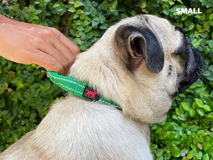 Heavy Duty Dog Collar with Handle | Ballistic Nylon Heavy Duty Collar | Padded Reflective Dog Collar with Adjustable Stainless Steel Hardware | Convenient Sizing for All Breeds
