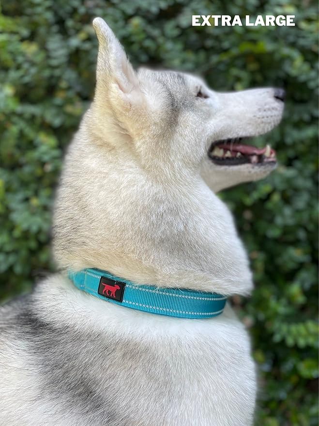 Tuff Pupper Heavy Duty Dog Collar with Handle | Ballistic Nylon Heavy Duty Collar | Padded Reflective Dog Collar with Adjustable Stainless Steel Hardware | Convenient Sizing for All Breeds
