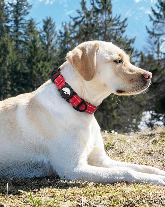 Joytale Airtag Dog Collar, Dual D-Rings, Reflective Pet Collar with Waterproof AirTag Holder, Soft Padded Adjustable for Large Dogs, Red, L