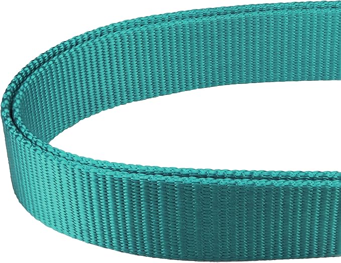 Mikivery Martingale Dog Collar Nylon Adjustable and Safety Training Colourful Comfortable Metal Buckle Pet Collars for Small Medium and Large Dogs(Teal,L)