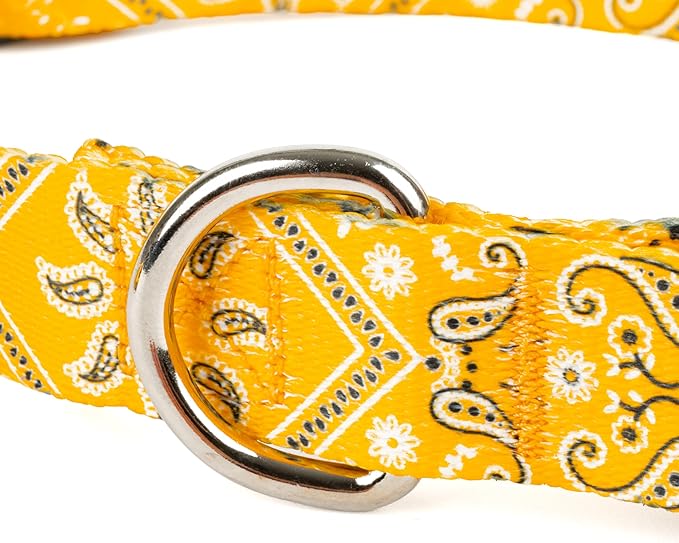 Country Brook Petz - Deluxe Yellow Bandana Dog Collar - Made in The U.S.A. - Country and Western Collection Featuring Rustic Designs (5/8 Inch, Small)