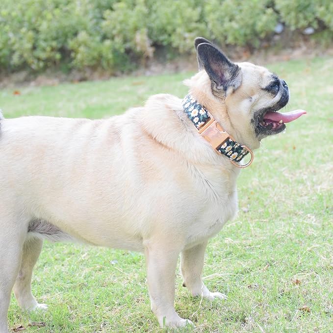 Metal Buckle Dog Collar, Durable Adjustable Dog Collar Soft for Small Medium Large Dogs (001-Black Flower, S(10-14in)