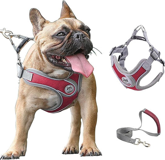 Large Dog Harness and Leash Set,No Pull Adjustable Step in Soft Mesh Vest Harness,Easy Walk Reflective Pet Harness with Padded Handle for Walking Training Small Medium Large Dogs and Cats (Red, L)