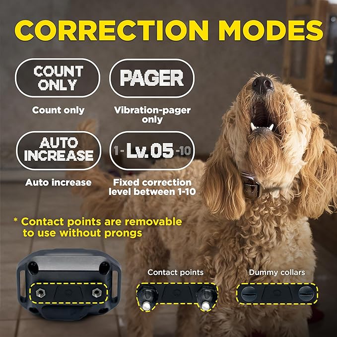 Dogtra Smart NOBARK – Detects Whining and Barking – App Control E-Collar, Usage Notification, Behavior Report, Waterproof IPX9K, 30 Yard Range, Compact Size for 10lbs Dogs, Triple Detection Accuracy
