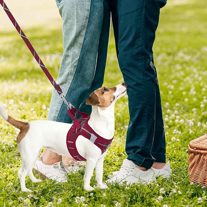 PUPTECK Adjustable Dog Harness Collar and Leash Set Step in No Pull Pet Harness for Small Medium Dogs Puppy and Cats Outdoor Walking Running, Soft Mesh Padded Reflective Vest Harnesses, Red S